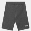 Childrens * | Free Delivery The North Face Kids Fleece Short