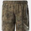 Mens * | Free Delivery The North Face Class V Pull On Short