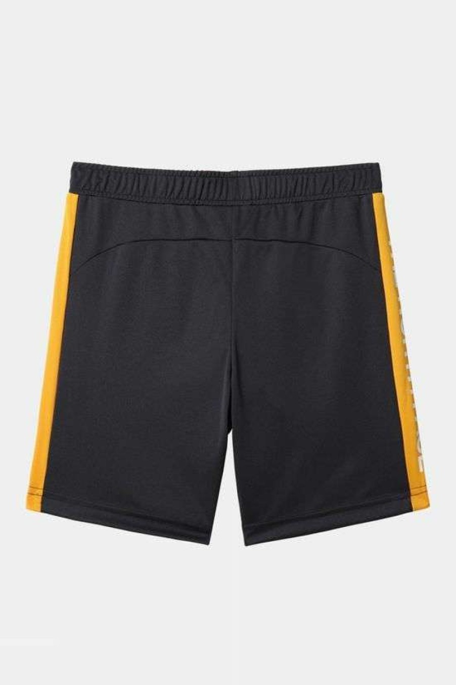 Accessories * | Cheap The North Face Youth Never Stop Training Shorts 14+