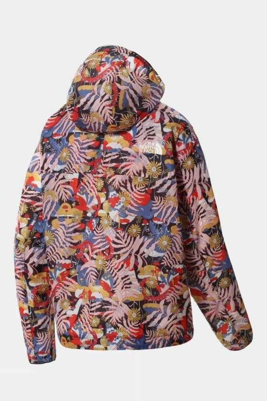 Womens * | Clearance The North Face Womens Printed Windy Peak Anorak