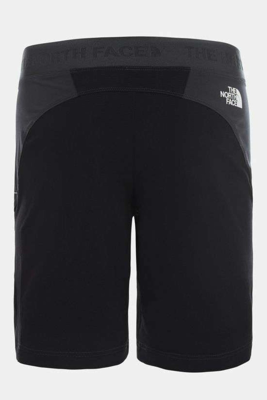 Mens * | Discount The North Face Mens Impendor Alpine Shorts