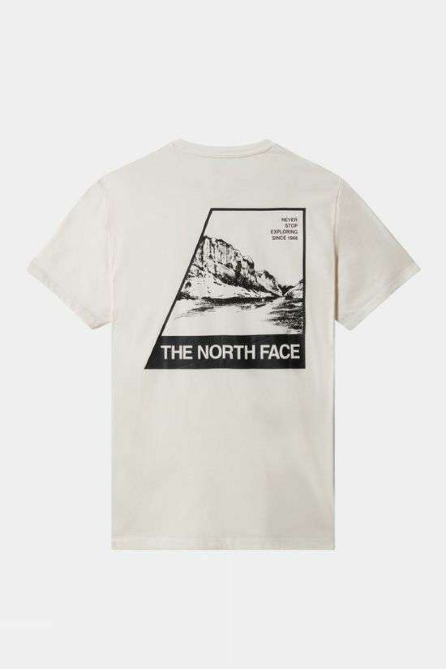 Mens * | Free Delivery The North Face Mens Mountain Graphic Tee