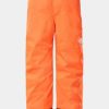 Childrens * | Free Delivery The North Face Boys Freedom Insulated Pant